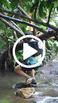 BIB:  <button type="button" onclick="openModal(27824501)" class="btn btn-primary btn-sm float-right" data-toggle="modal" data-target=".modal-high-quality">
                <i class="fa fa-download"></i> Download
                </button>